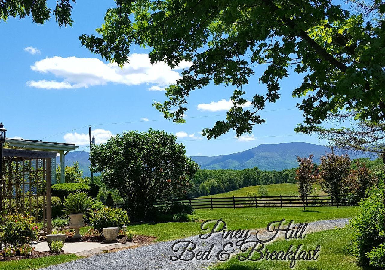 Piney Hill B & B And Cottages Luray Exterior photo